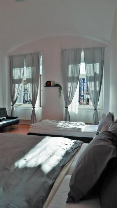 Modern In The Center Of Apartament Praga