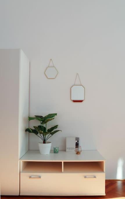 Apartament Modern In The Center Of